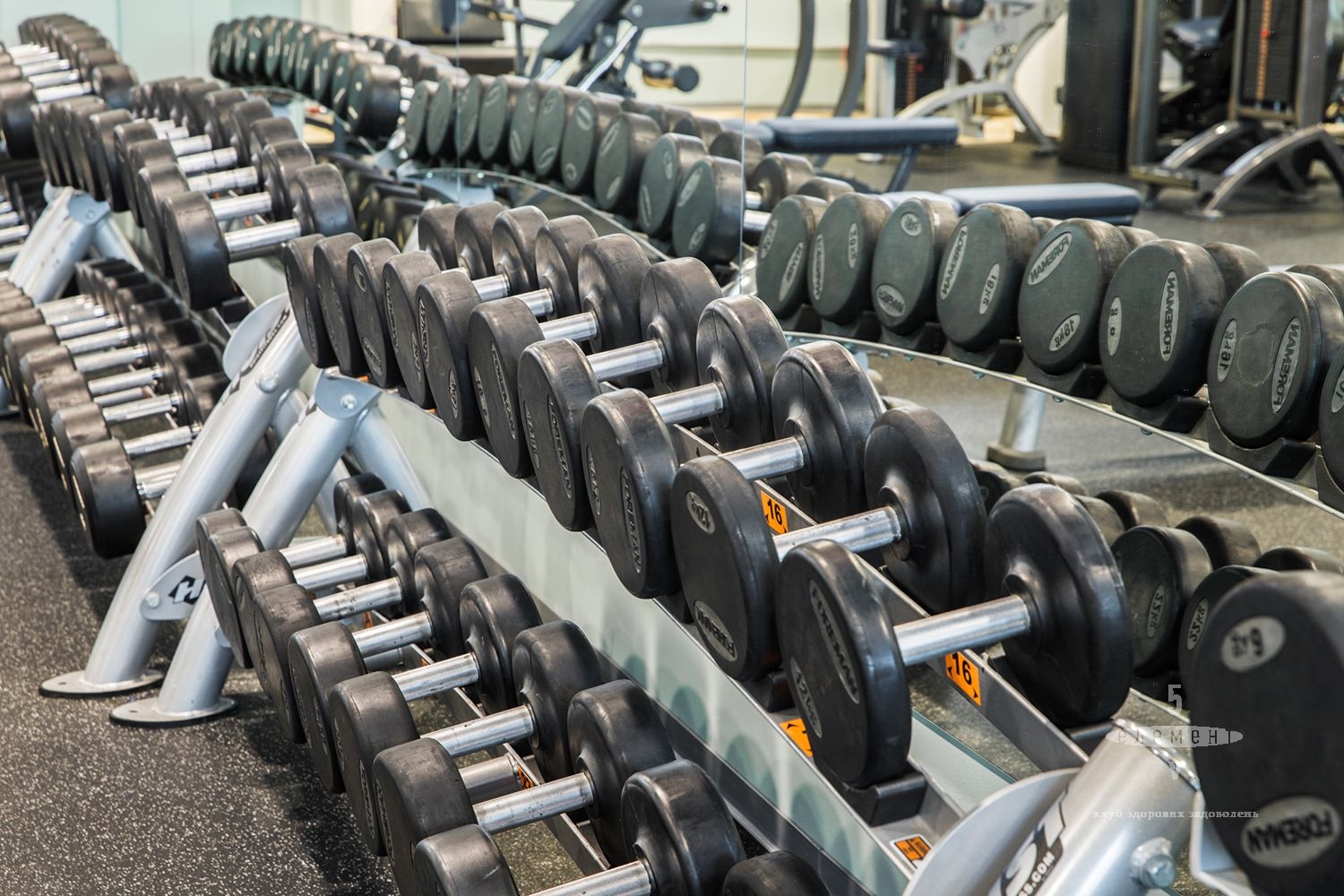 5 Элемент: лучшие тренажеры в Киеве, Фото 8126 5 Элемент: лучшие тренажеры в Киеве, Фото 8126