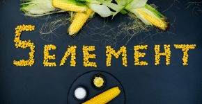 5 Елемент: , Маленьке фото 9796