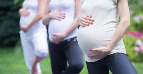 5 Элемент: , Маленькое фото 10640