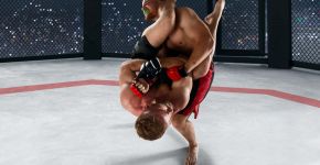 5 Элемент: , Маленькое фото 10799