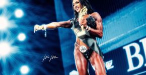 5 Элемент: , Маленькое фото 11167 5 Элемент: , Маленькое фото 11167