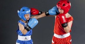 5 Елемент: , Маленьке фото 11259 5 Елемент: , Маленьке фото 11259