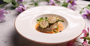 5 Элемент: , Маленькое фото 11310