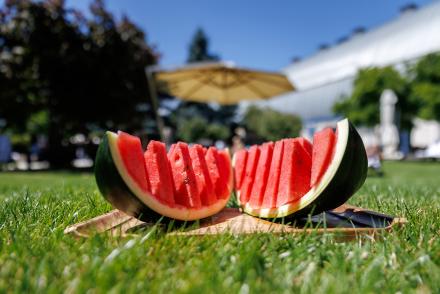 Кавуновий настрій в ресторані клубу «5 елемент» — фітнес-клуб 5 елемент