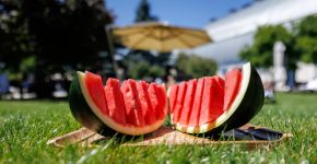 5 Элемент: , Маленькое фото 11711