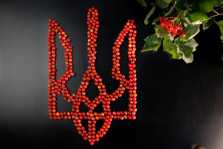 З Днем Незалежності, Україно!— фітнес-клуб 5 елемент