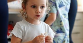 5 Элемент: , Маленькое фото 11860 5 Элемент: , Маленькое фото 11860