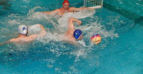 5 Элемент: , Маленькое фото 12032 5 Элемент: , Маленькое фото 12032