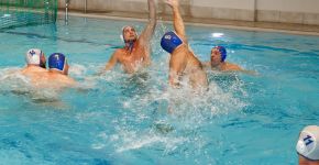 5 Элемент: , Маленькое фото 12031 5 Элемент: , Маленькое фото 12031