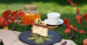 5 Элемент: , Маленькое фото 12035