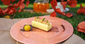 5 Элемент: , Маленькое фото 12037