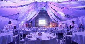 5 Елемент: , Маленьке фото 12310 5 Елемент: , Маленьке фото 12310