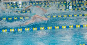 5 Элемент: , Маленькое фото 12337 5 Элемент: , Маленькое фото 12337