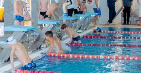 5 Элемент: , Маленькое фото 12339 5 Элемент: , Маленькое фото 12339