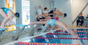 5 Элемент: , Маленькое фото 12335 5 Элемент: , Маленькое фото 12335