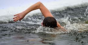 5 Елемент: , Маленьке фото 12511 5 Елемент: , Маленьке фото 12511