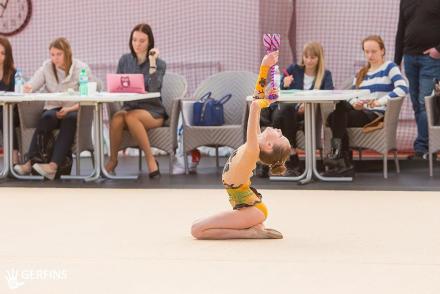 Открытый турнир по художественной гимнастике 2016— фітнес-клуб 5 елемент