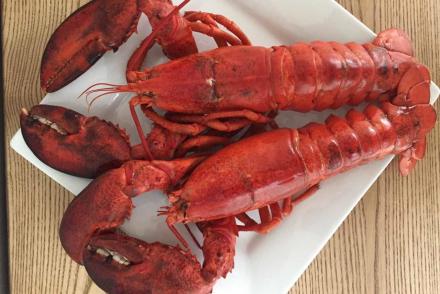 seefood— фітнес-клуб 5 елемент